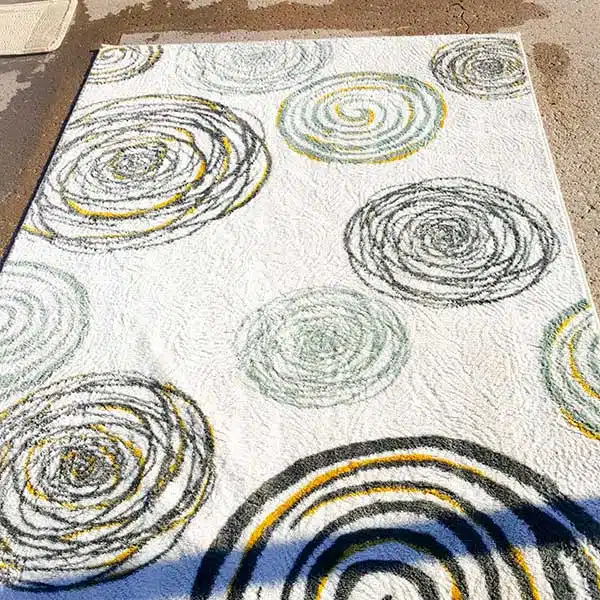 Area Rug Cleaning in Fort Wayne