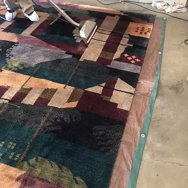 Area Rug Cleaning in Fort Wayne