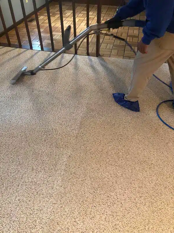 Book Expert Carpet Cleaning in Fort Wayne