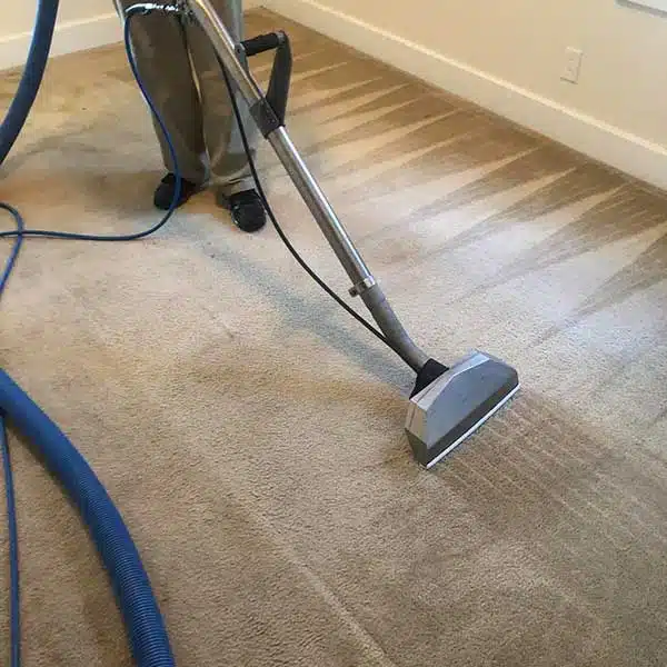 Carpet Cleaning in Fort Wayne