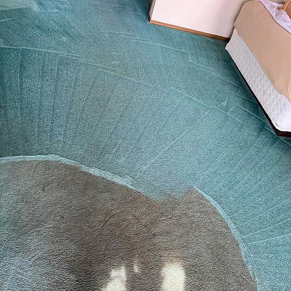 Expert Carpet Cleaning in Fort Wayne