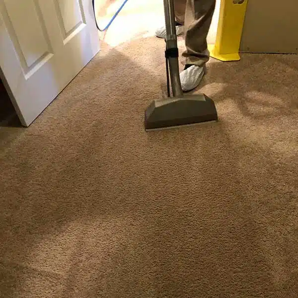 Expert Carpet Cleaning in Fort Wayne