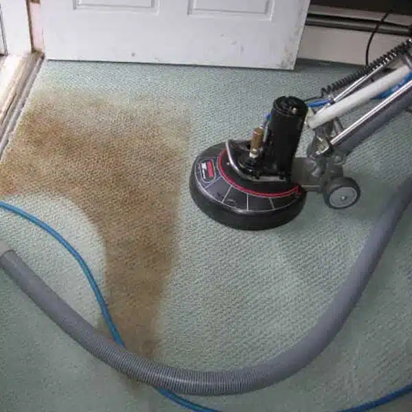 Expert Carpet Cleaning in Fort Wayne