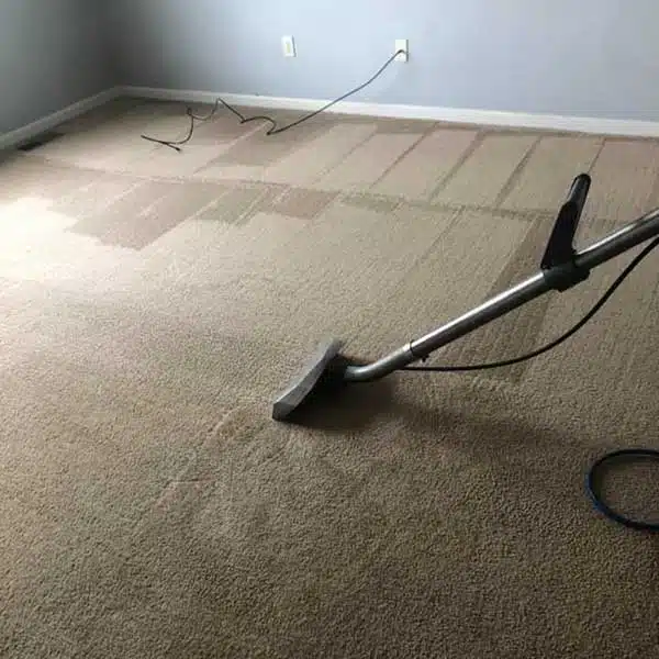 Expert Carpet Cleaning in Fort Wayne