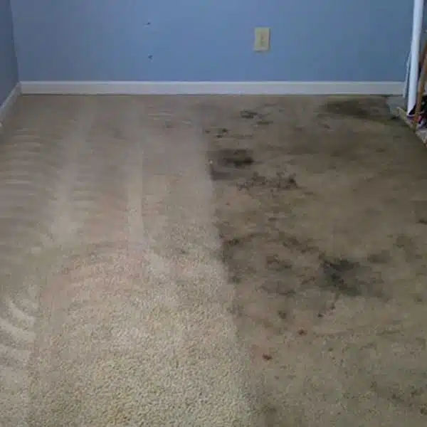 Expert Carpet Cleaning in Fort Wayne