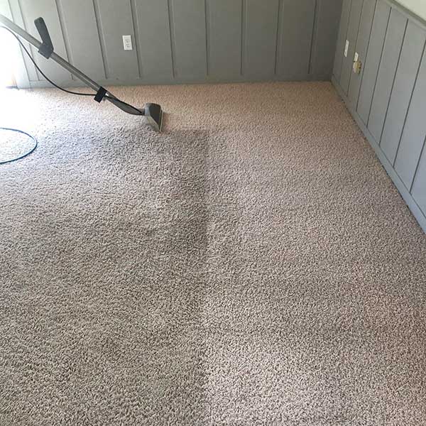Expert Carpet Cleaning in Fort Wayne